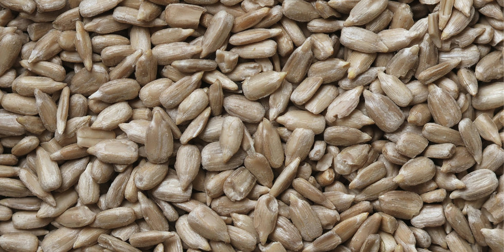 Łukasz Rawa @ Unsplash : https://unsplash.com/photos/brown-and-black-dried-leaves-NDro8tjU4e0